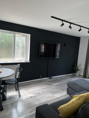 Modern luxury two-bedroom apartment, Enfield Town